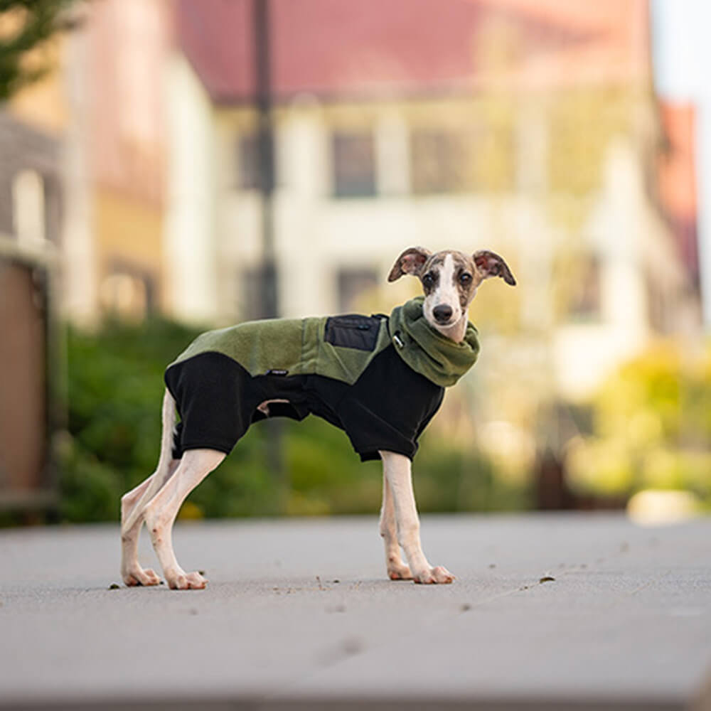 Lisslune | Full Protection Polar Fleece Dog Overall with Removable Collar