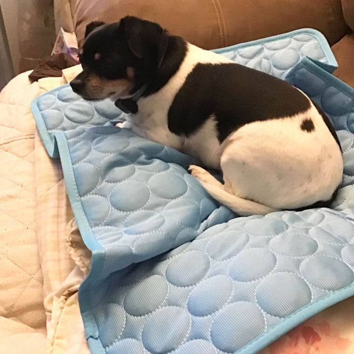 Lisslune | COOLTAILS - Premium Cooling Mat