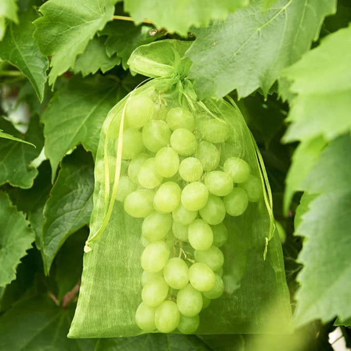 Lisslune | Fruit Protection Bag (100 PCS)