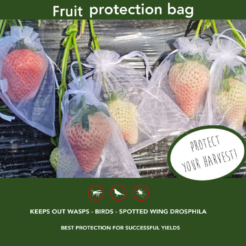 Lisslune | Fruit Protection Bag (100 PCS)