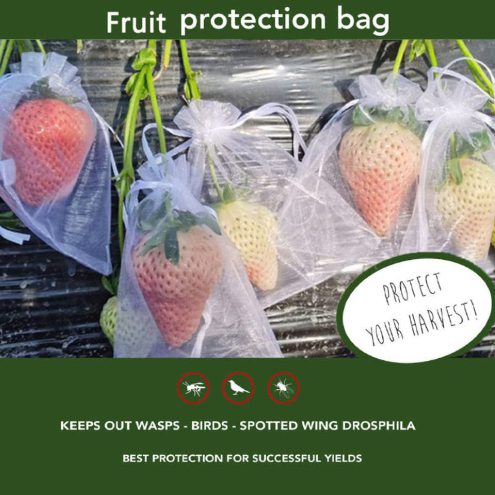Lisslune | Fruit Protection Bag (100 PCS)