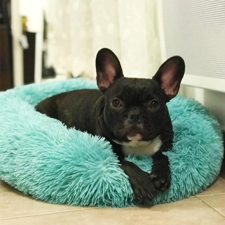 Lisslune | Long Plush Donut Pet Bed with Washable Cover and Non-Slip Base