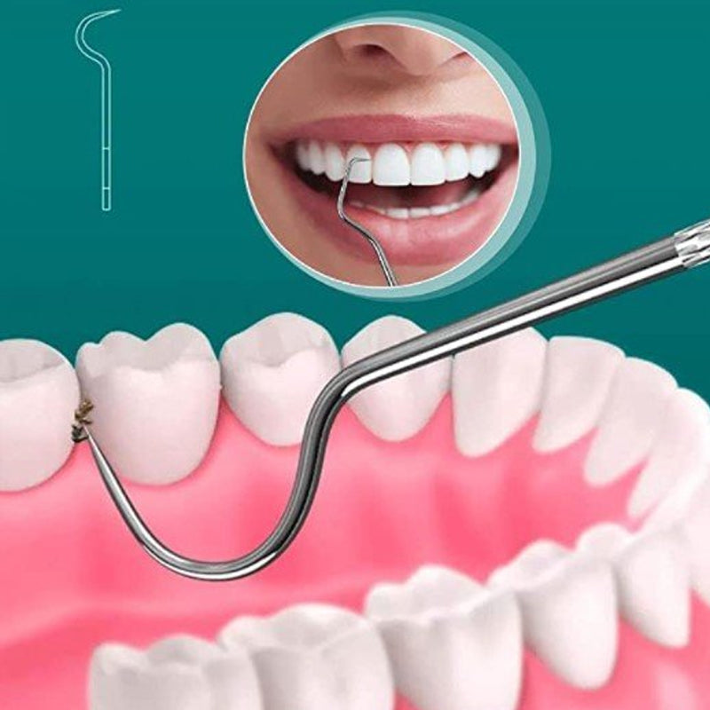 Lisslune | Toothpick Set made of Stainless Steel (7 pieces)
