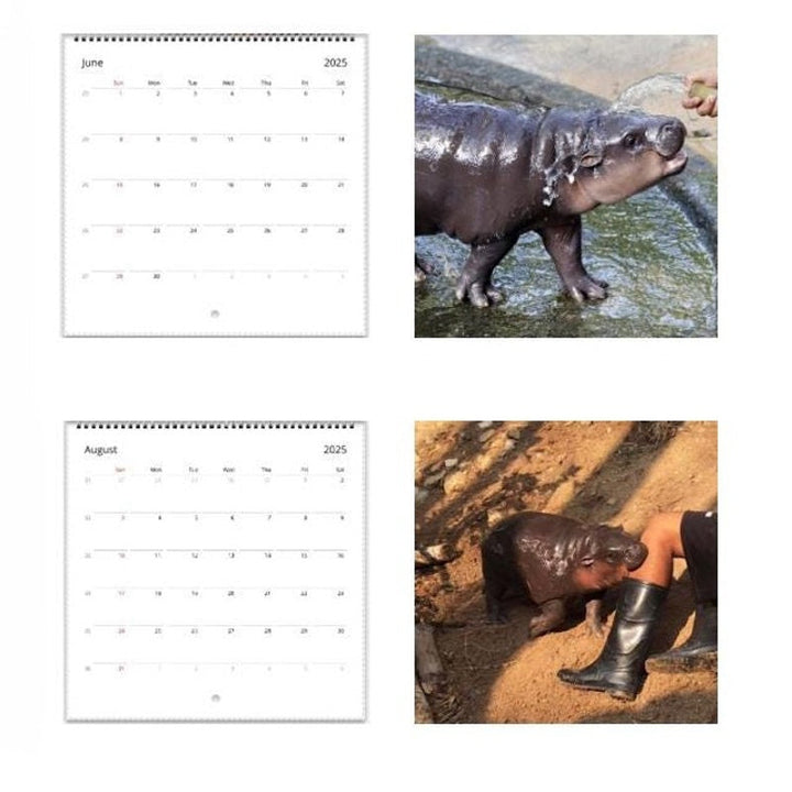 Lisslune | Moo Deng Calendar | Calendar 2025
