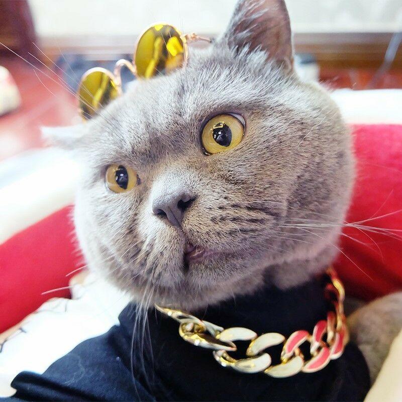 Lisslune | Thick golden chain pet safety collar