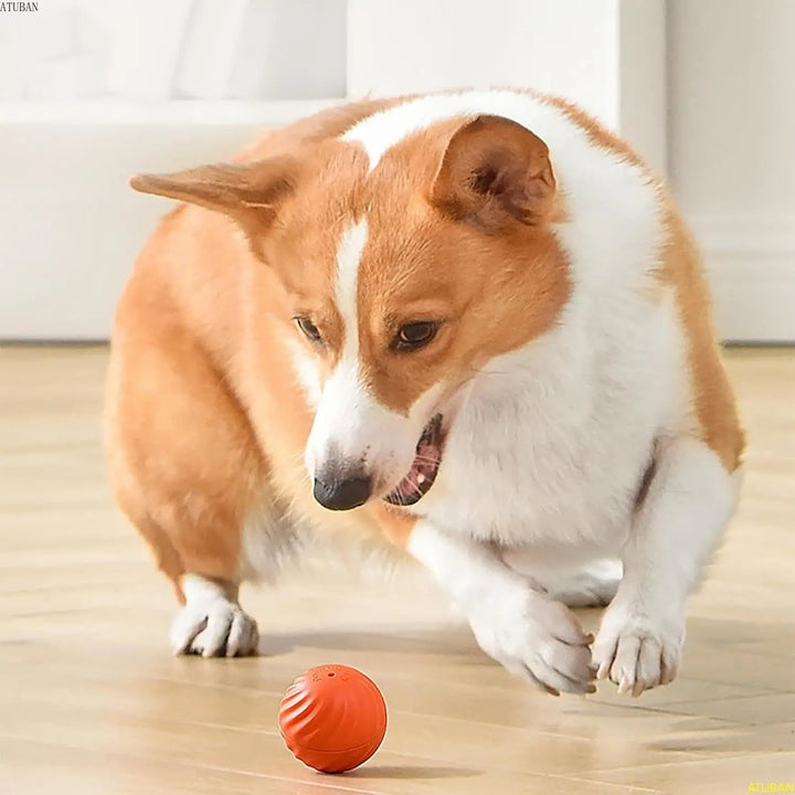 Lisslune | Interactive Rechargeable Jumping Ball Toy for Dogs
