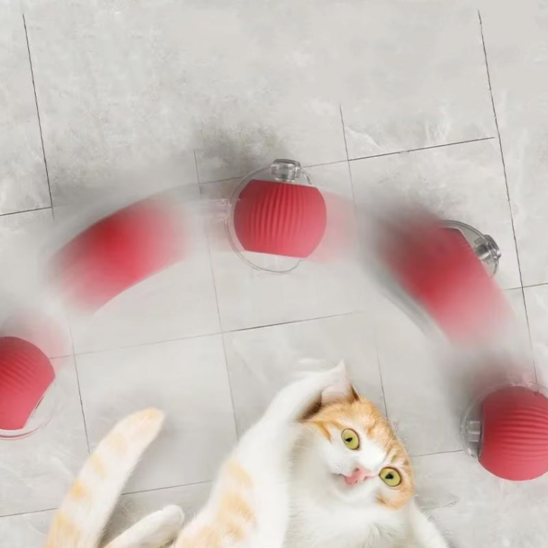 Lisslune | Indoor Cat interactive ball