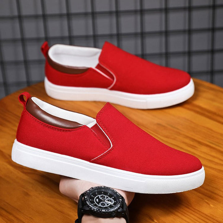 Lisslune | Slip-On Shoes made of canvas for men