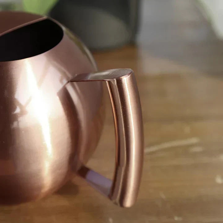 Lisslune | AquaSleek - Precision watering can for delicate plants