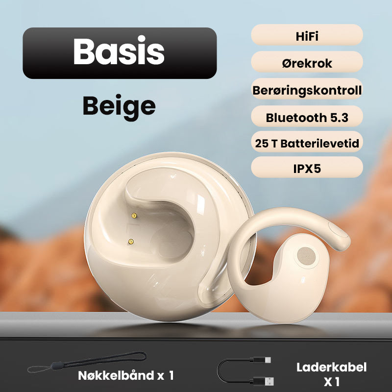 Lisslune | Smart Wireless Bluetooth Translation Earbuds