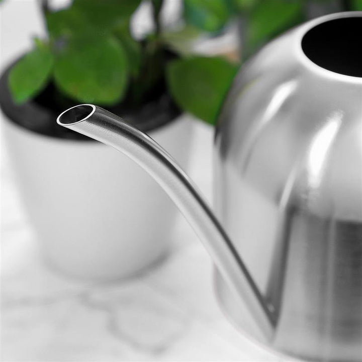 Lisslune | AquaGrace Stainless Steel Watering Can with Flexible Neck | Modern Design | Perfect Watering | Rustproof