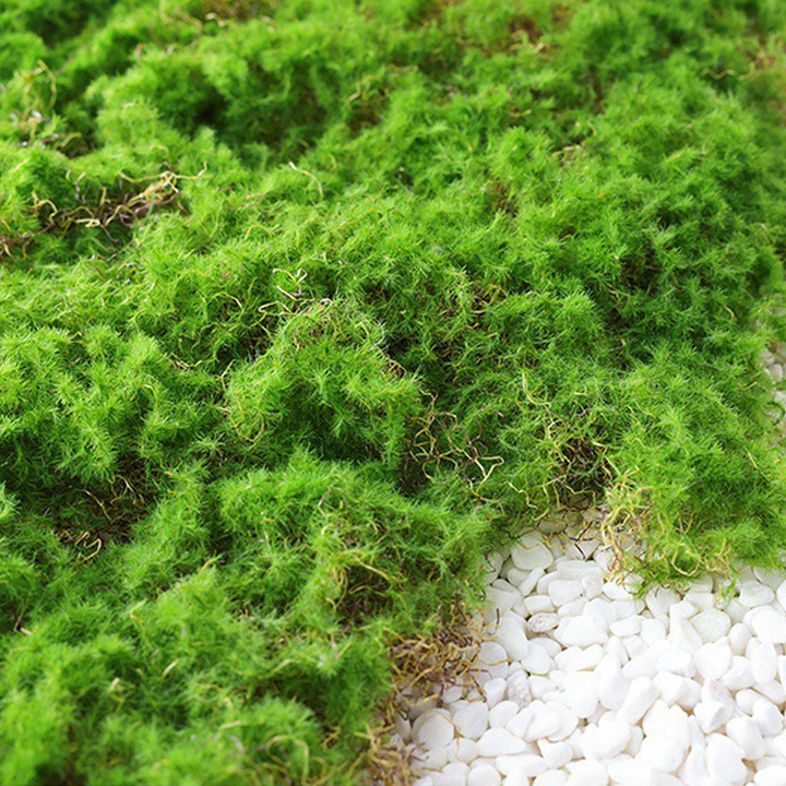 Lisslune | Moss Cover Piece – Moss Flakes Ornament for Decoration and Landscaping