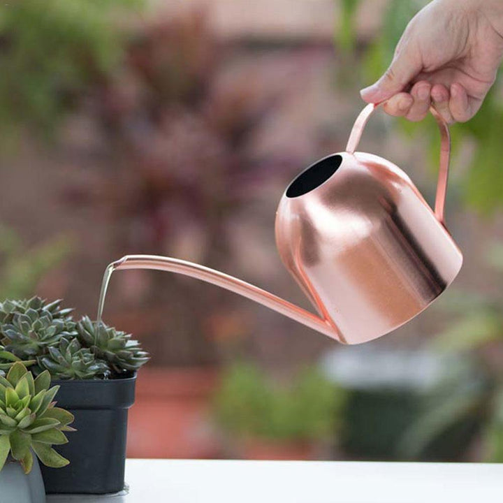 Lisslune | Stainless Steel Watering Can with Flexible Neck | Modern Design | Perfect Watering | Rustproof
