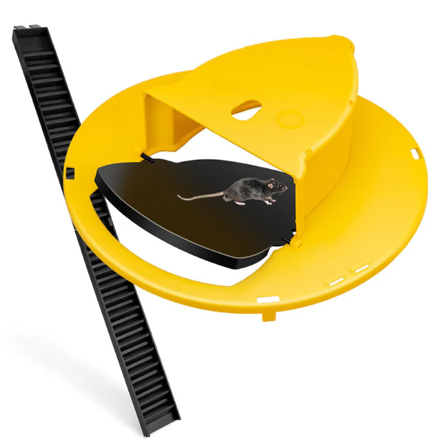 Lisslune | Reusable Humane Bucket Live Humane Mouse Trap