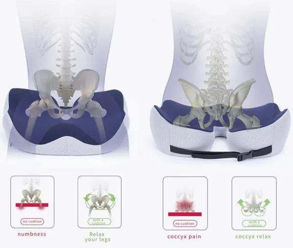 Lisslune | Adjustable Memory Foam Sit Bone Relief Seat Cushion