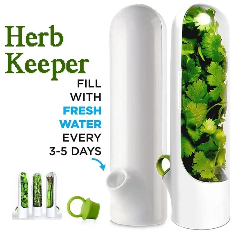 Lisslune | Herb Fresh Holder