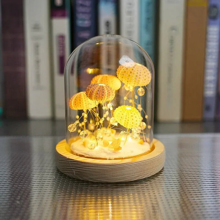 Lisslune | LumiCraft – Unique DIY table lamp with natural sea shell for a cozy décor