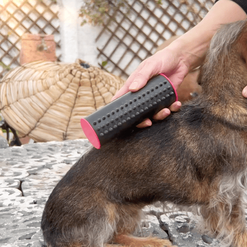 Lisslune | 3 in 1 Deshedding Undercoat & Fur Brush