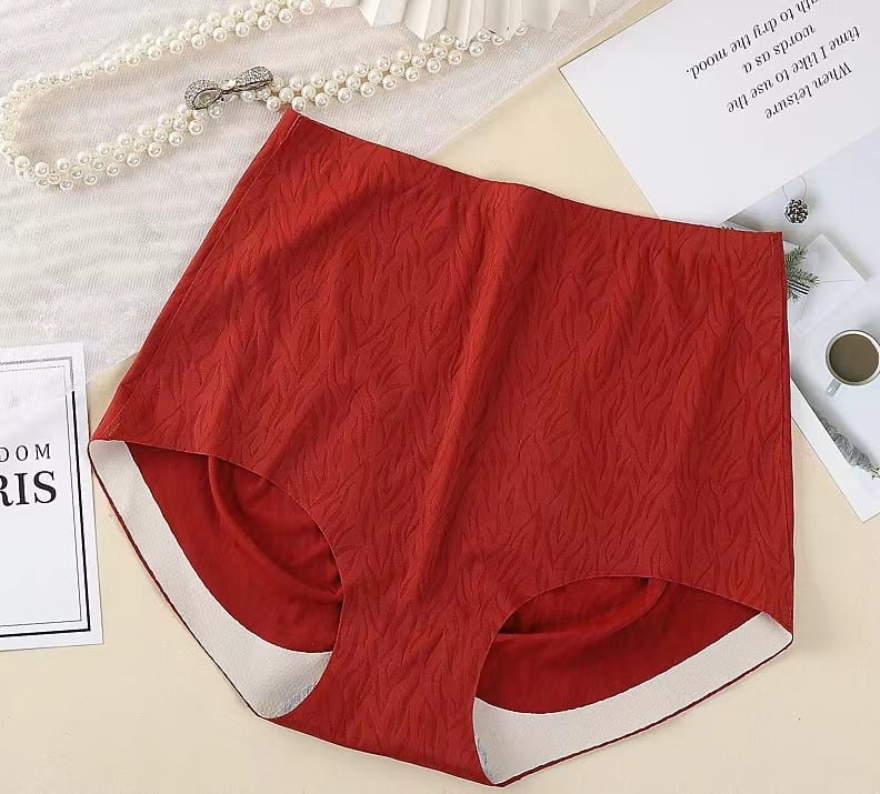 Lisslune | Female high waisted non marking nude panties