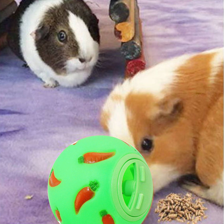 Lisslune | Interactive Rabbit Treat Ball
