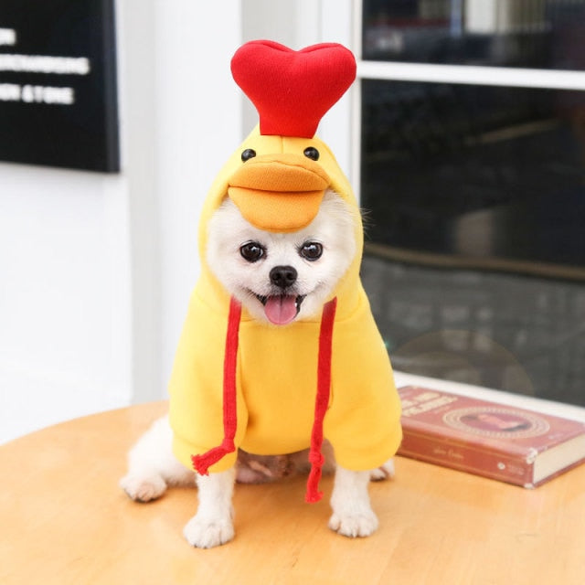 Lisslune | Pet Hoodies