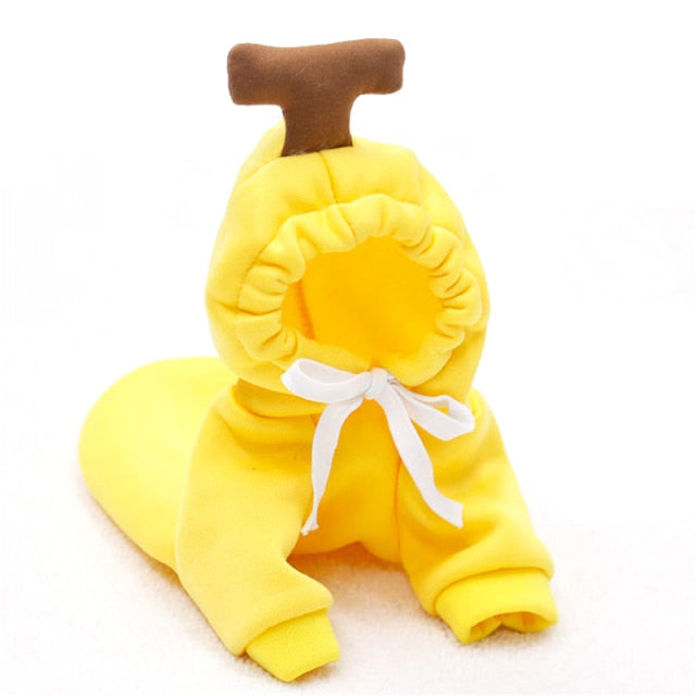 Lisslune | Pet Hoodies