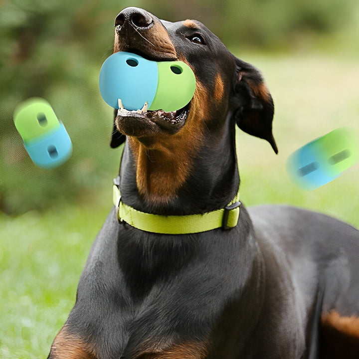 Lisslune | Pet Food Toy