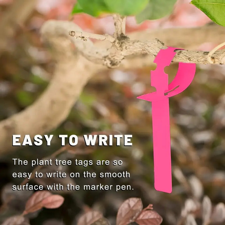 Lisslune | Reusable plant labels made of plastic for garden and tree marking
