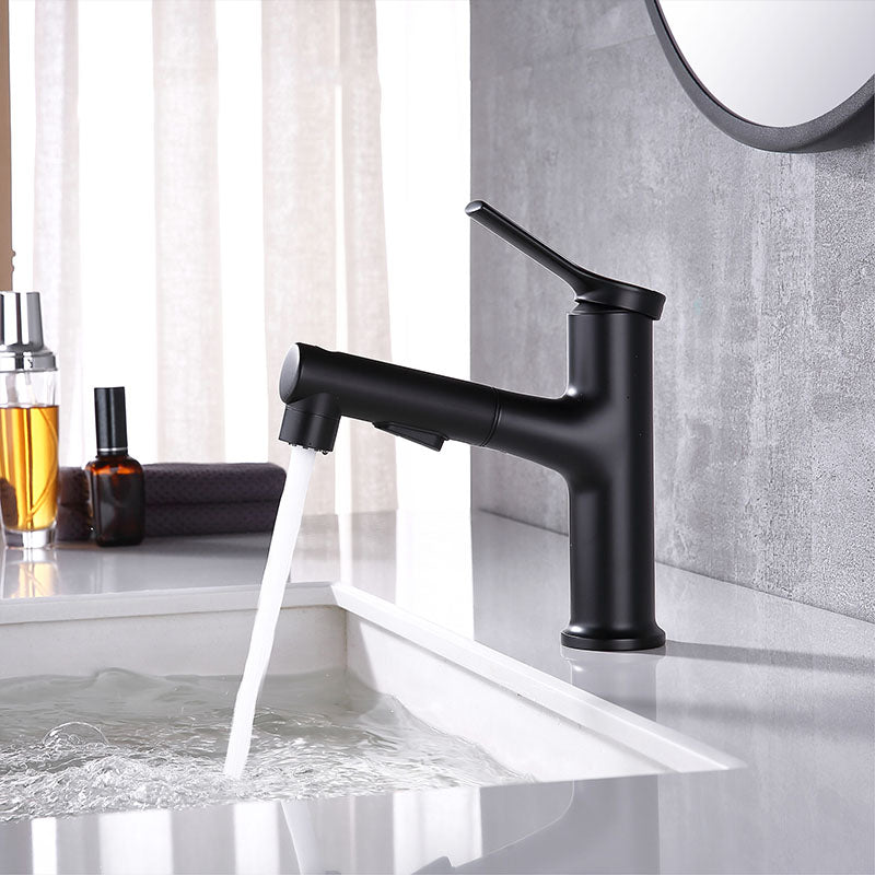 Lisslune | Contemporary Single Handle Faucet Retractable Sink Faucet with Lever Handle