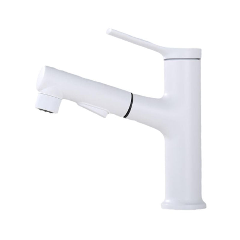 Lisslune | Contemporary Single Handle Faucet Pull Out Kitchen Faucet with Lever Handle