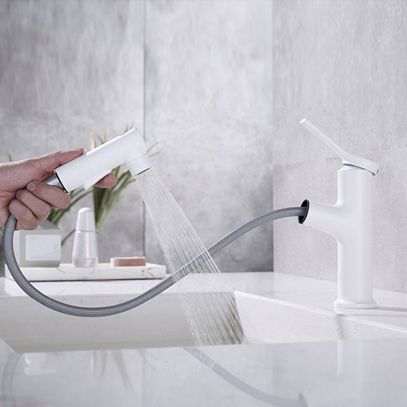 Lisslune | Contemporary Single Handle Faucet Pull Out Kitchen Faucet with Lever Handle