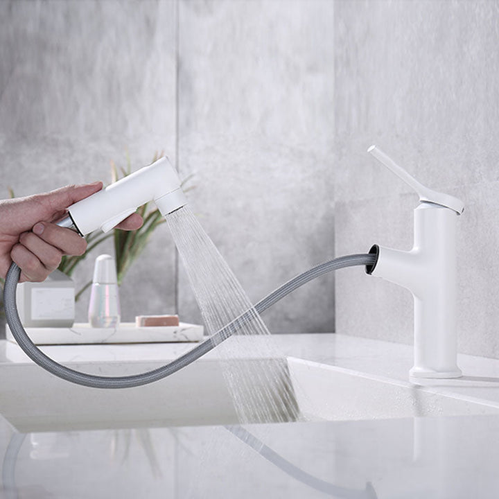 Lisslune | Contemporary Single Handle Faucet Retractable Sink Faucet with Lever Handle