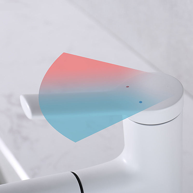 Lisslune | Contemporary Single Handle Faucet Pull Out Kitchen Faucet with Lever Handle