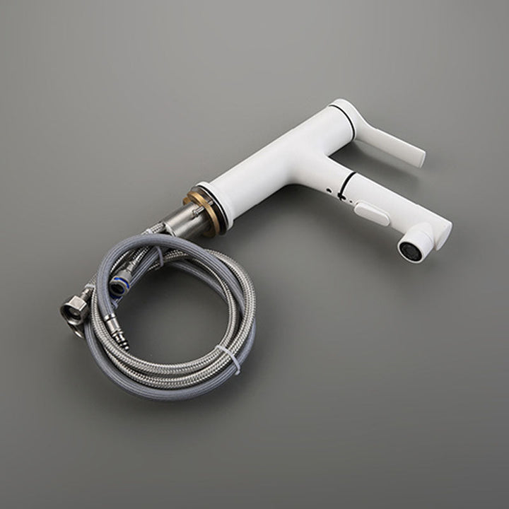 Lisslune | Contemporary Single Handle Faucet Pull Out Kitchen Faucet with Lever Handle