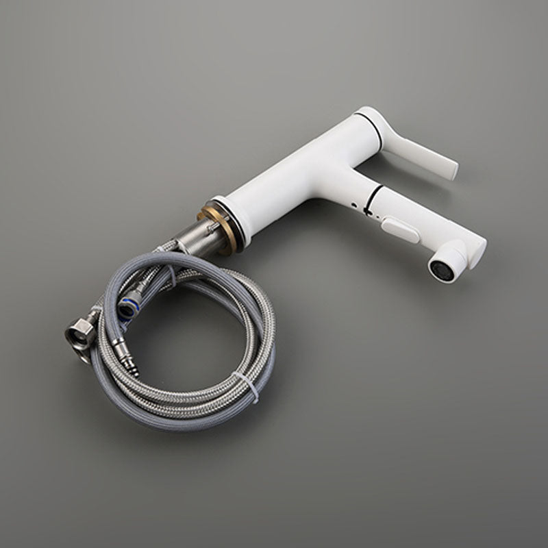 Lisslune | Contemporary Single Handle Faucet Retractable Sink Faucet with Lever Handle