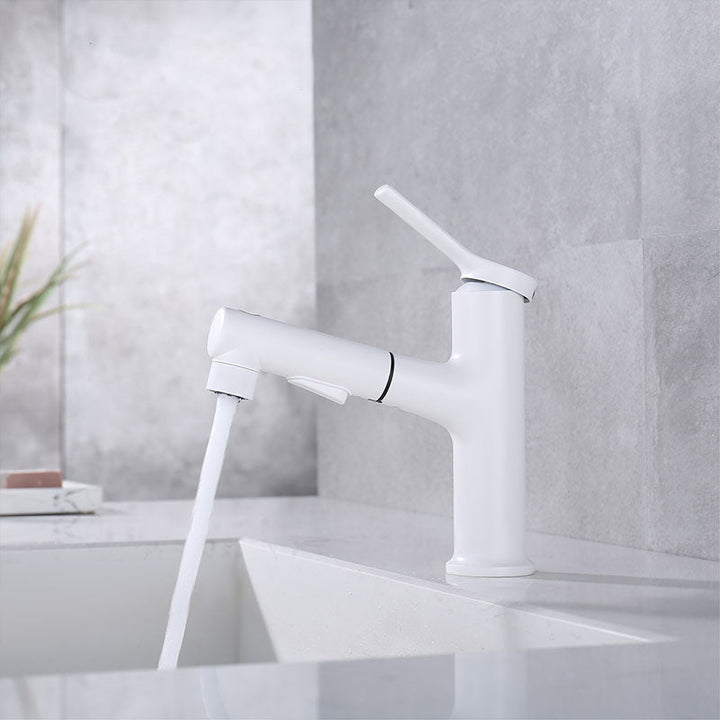 Lisslune | Contemporary Single Handle Faucet Pull Out Kitchen Faucet with Lever Handle
