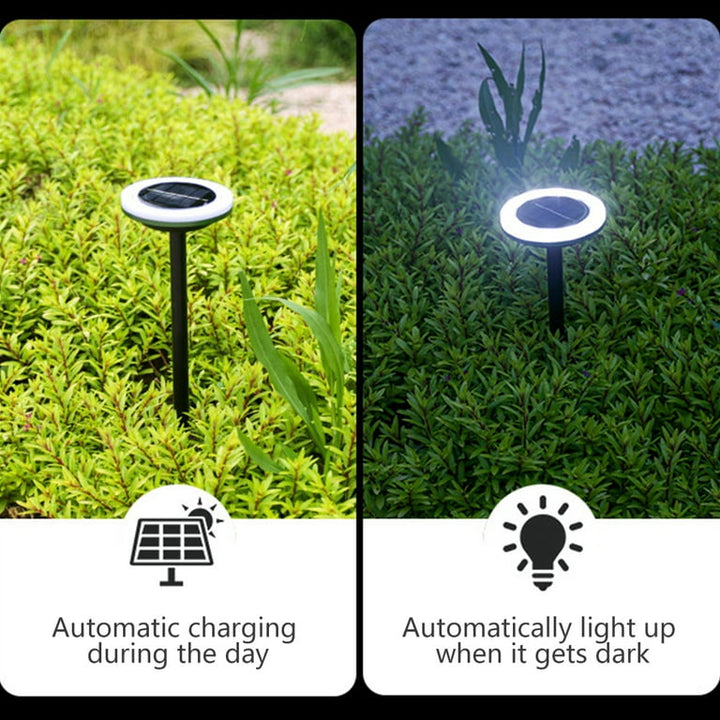 Lisslune | Solar Garden Lights with Color Change – LED Ground Spots for Outdoors and Garden