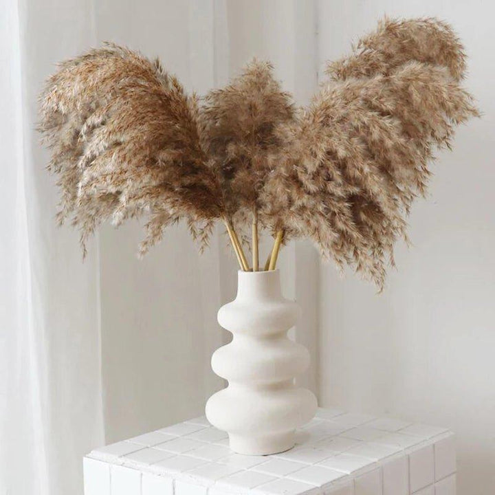 Lisslune | 60 cm natural, real, brown-beige dried pampas grass bouquet │ fluffy feather for modern boho home decoration