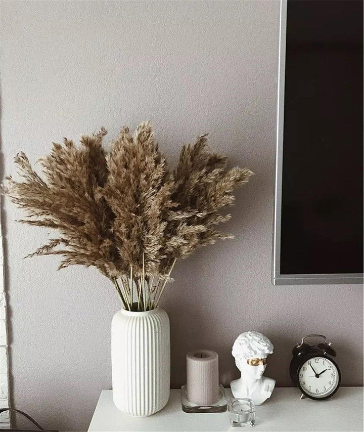 Lisslune | 60 cm natural, real, brown-beige dried pampas grass bouquet │ fluffy feather for modern boho home decoration