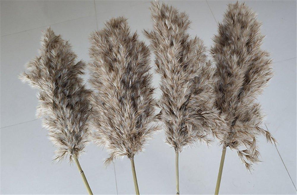 Lisslune | 60 cm natural, real, brown-beige dried pampas grass bouquet │ fluffy feather for modern boho home decoration