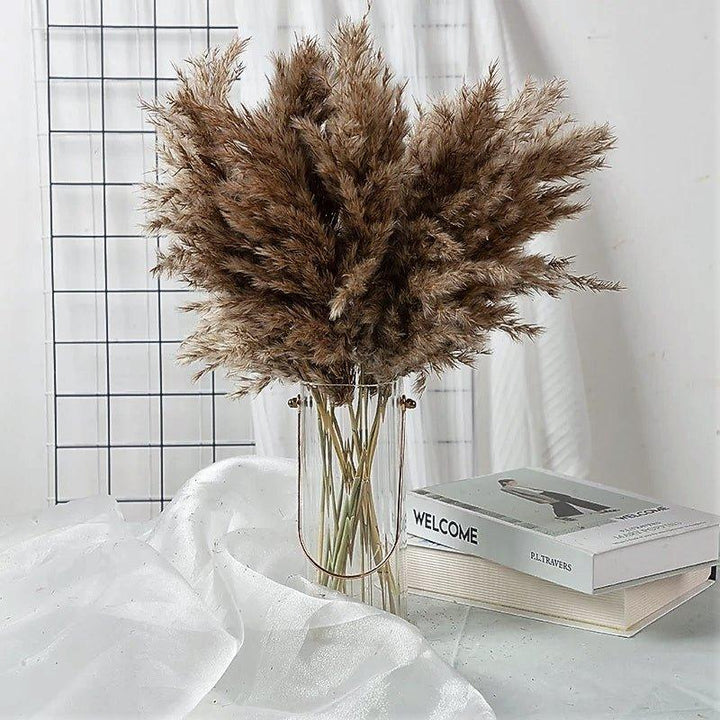Lisslune | 60 cm natural, real, brown-beige dried pampas grass bouquet │ fluffy feather for modern boho home decoration