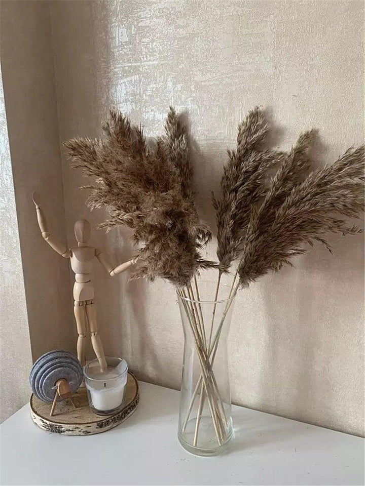 Lisslune | 60 cm natural, real, brown-beige dried pampas grass bouquet │ fluffy feather for modern boho home decoration