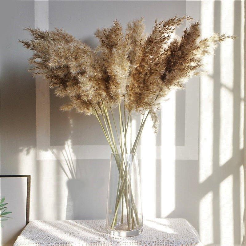 Lisslune | 60 cm natural, real, brown-beige dried pampas grass bouquet │ fluffy feather for modern boho home decoration
