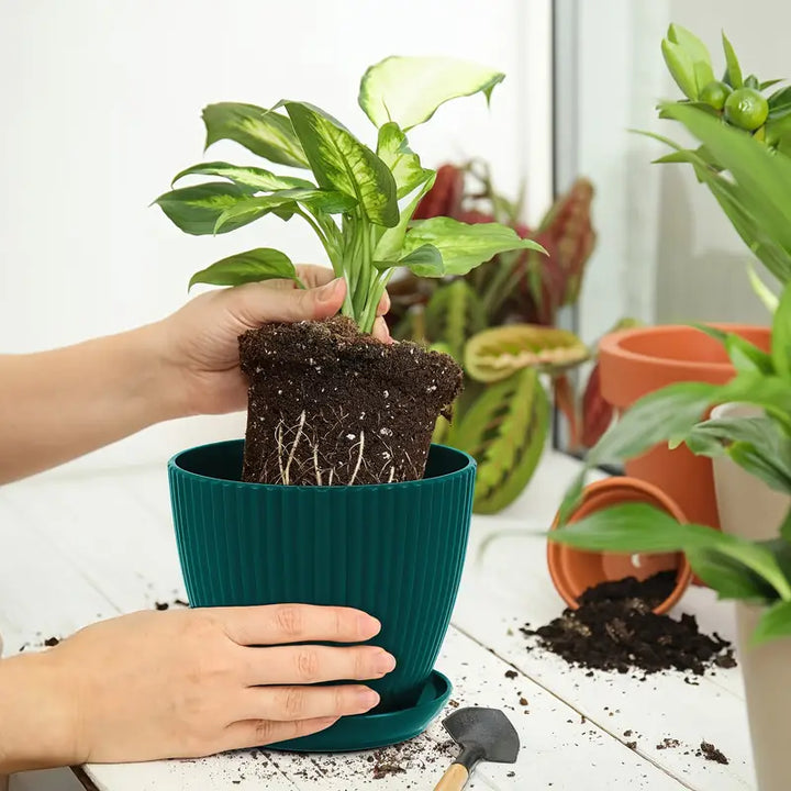 Lisslune | Flower pot with groove structure and saucer – Sturdy plastic pot for plants