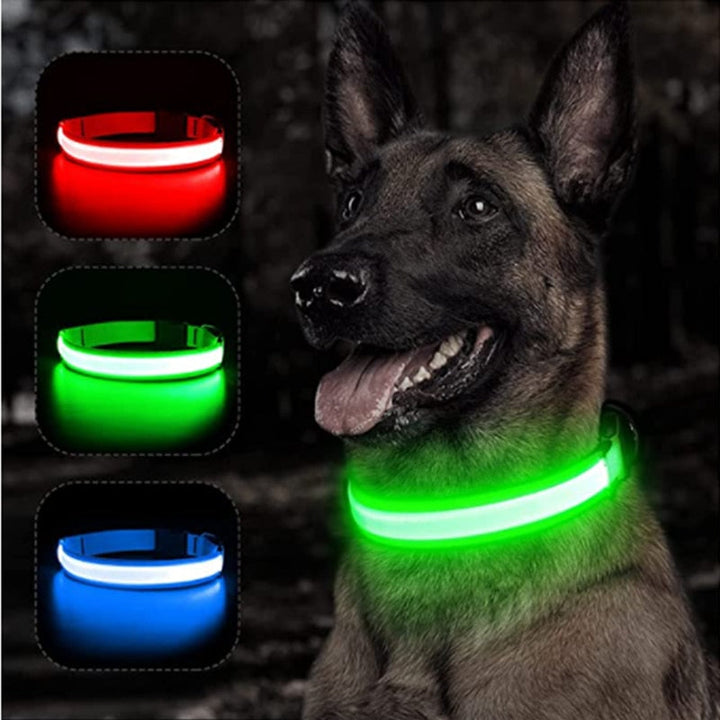 Lisslune | Luminous dog collar