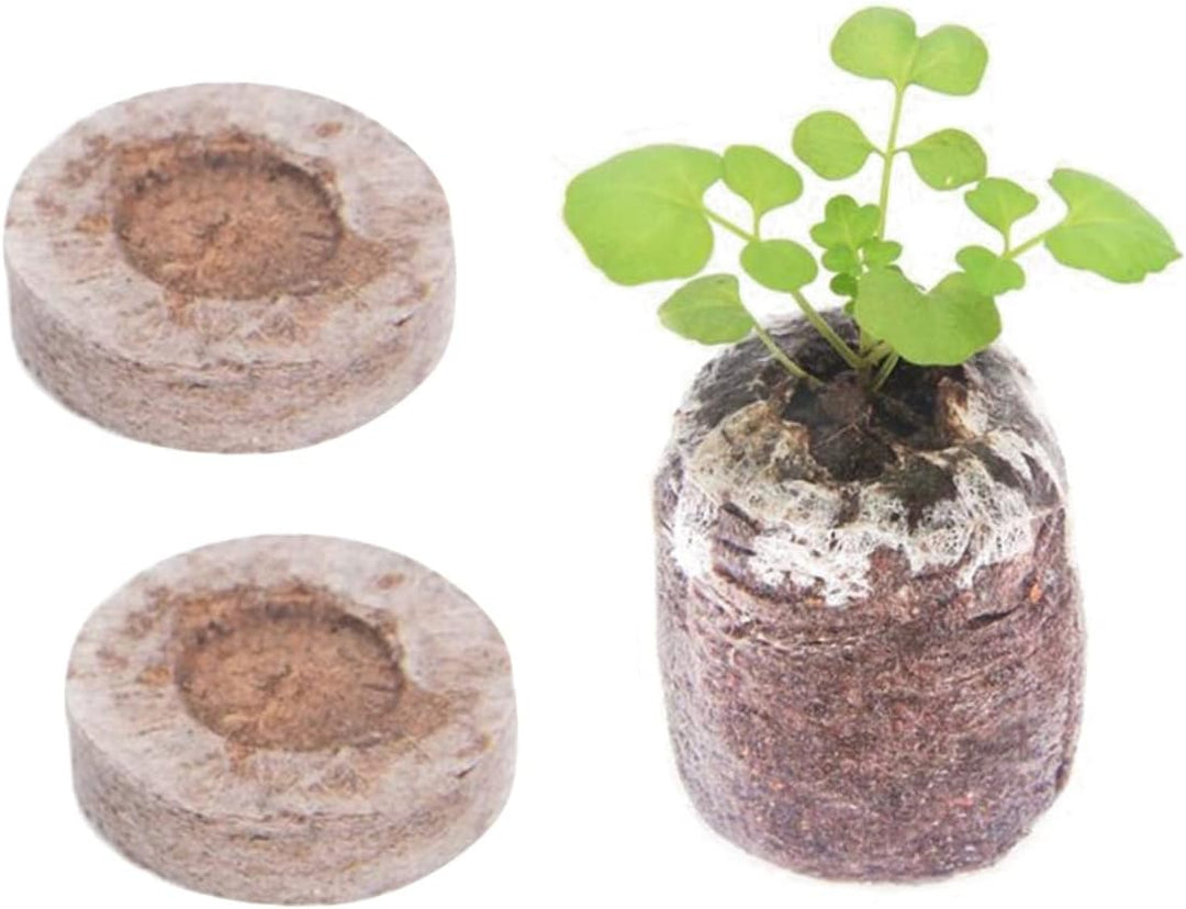 Lisslune | Coconut Fiber Peat Seedling Pellets – Starter for Seed Planting