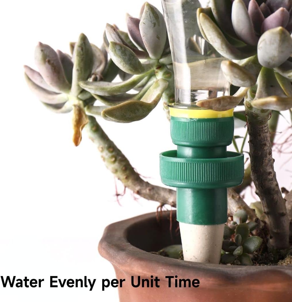 Lisslune | Self-watering spikes for plants – Automatic drip tips for bottles
