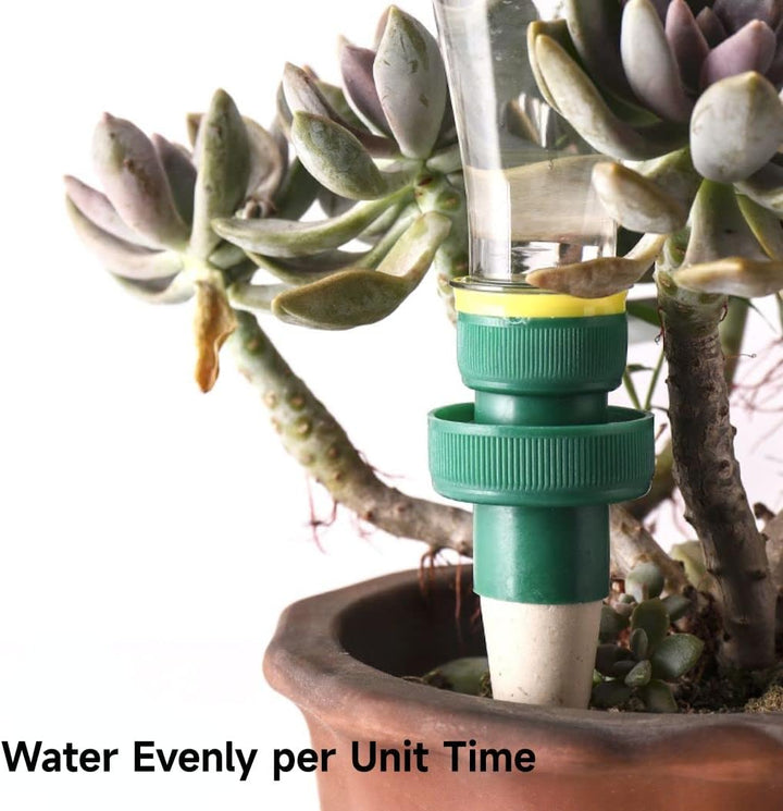 Lisslune | Self-watering spikes for plants – Automatic drip tips for bottles