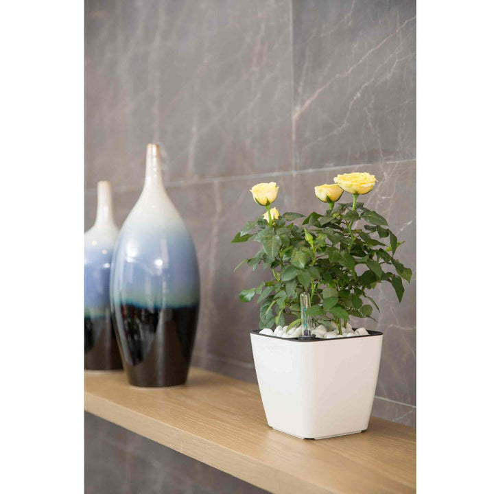 Lisslune | Flower pot with irrigation system – Self-watering plant pot for indoor and outdoor use
