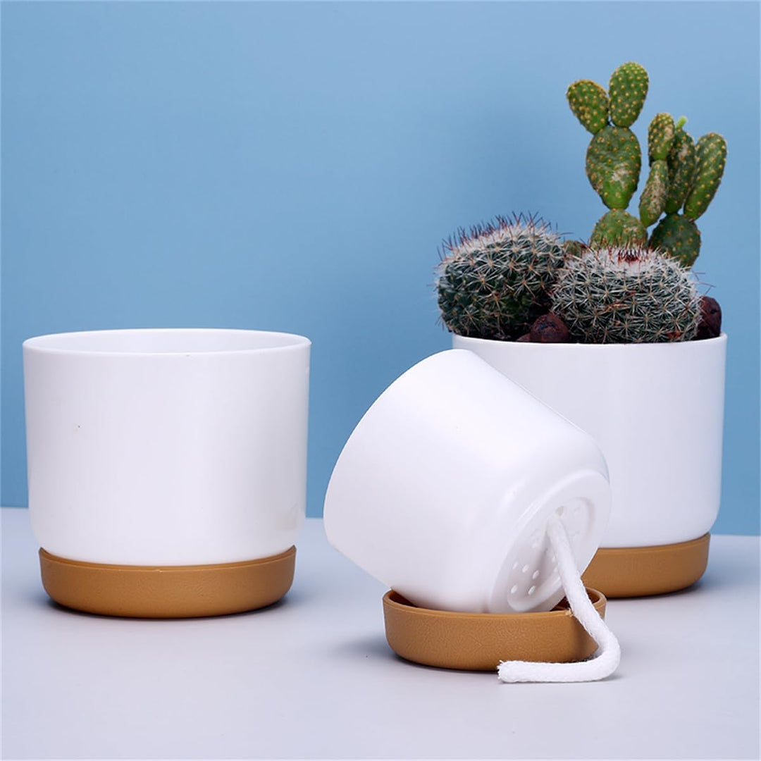 Lisslune | Self-watering flower pot for orchids and plants – Plastic plant container